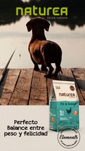 Cargar imagen en el visor de la galería, Alimento premium seco para perros adultos mayores Naturea Elements Fit & Senior Pollo 2 kg