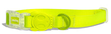 Cargar imagen en el visor de la galería, ZeeDog Neopro Lime collar para perros,