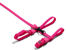 Cargar imagen en el visor de la galería, ZeeCat Pink Led Harness + Leash Set set de arnés para gato