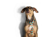 Cargar imagen en el visor de la galería, ZeeDog Phantom H-Harness practico arnés para perros ,