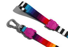 Cargar imagen en el visor de la galería, ZeeDog Prisma Dog Leash correa para perros,