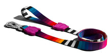 Cargar imagen en el visor de la galería, ZeeDog Prisma Dog Leash correa para perros,