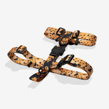 Cargar imagen en el visor de la galería, "Arnés para perro Zee.Dog tipo H, modelo Bossa Banana, estampado de plátanos sobre fondo azul, talla M."
