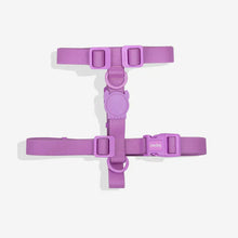 Cargar imagen en el visor de la galería, ZeeDog Neopro Ultra Violet H-Harness L
