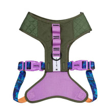 Cargar imagen en el visor de la galería, Zeedog Air Mesh  Harness Reebok Trekk arnes para perros
