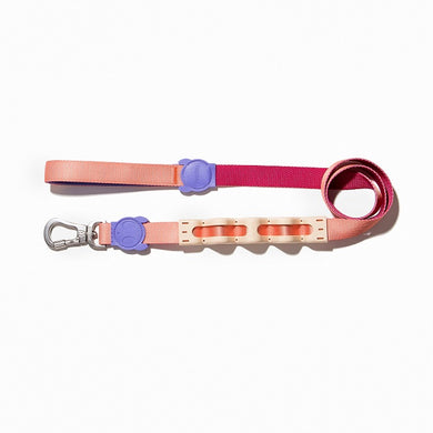 ZeeDog Cinnamon Ruff Leash correa para perros anti-tirones