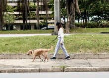 Cargar imagen en el visor de la galería, ZeeDog Andromeda Dog Handsfree Leash correa para perros  
