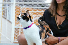 Cargar imagen en el visor de la galería, ZeeCat Prisma Harness + Leash Set   set de arnés para  gato
