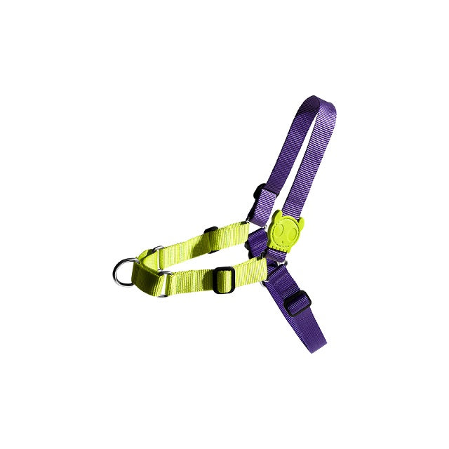 ZeeDog Lemonade Soft-Walk Harness L