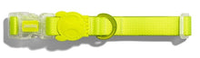 Cargar imagen en el visor de la galería, ZeeDog Neopro Lime collar para perros, 
