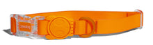 Cargar imagen en el visor de la galería, ZeeDog Neopro Tangerine collar para perros,
