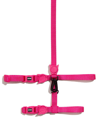 ZeeCat Pink Led Harness + Leash Set  set de arnés para  gato