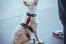 Cargar imagen en el visor de la galería, ZeeDog Skull H-Harness practico arnés para perros , 
