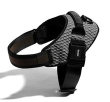 Cargar imagen en el visor de la galería, ZeeDog Urban Flyharness arnés para perro, 
