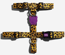 Cargar imagen en el visor de la galería, "Arnés para perros Zee.Dog Honey H-Harness talla L color amarillo ajustable con dos puntos de enganche y cierre de seguridad de 4 puntos - La Mascotería de Andrea"
