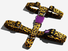 Cargar imagen en el visor de la galería, "Arnés para perros Zee.Dog Honey H-Harness talla L color amarillo ajustable con dos puntos de enganche y cierre de seguridad de 4 puntos - La Mascotería de Andrea"
